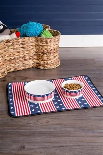 Flag Pet Bowl - Porcelain Ceramic with Silicone Ring