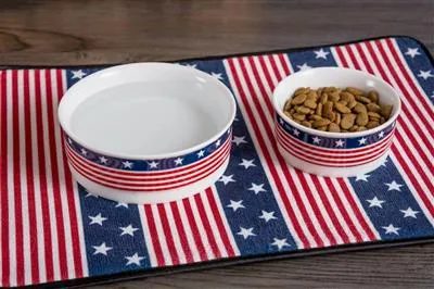 Flag Pet Bowl - Porcelain Ceramic with Silicone Ring