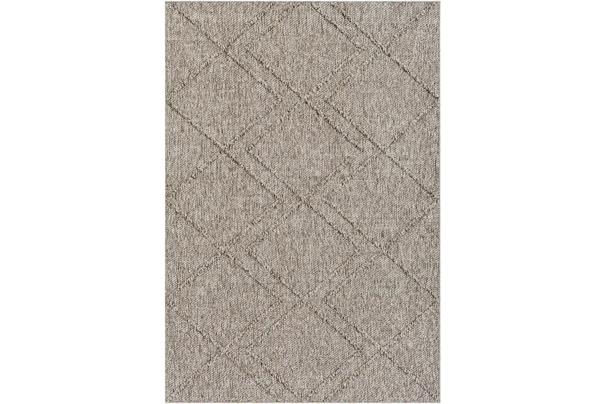 Samson Indoor/Outdoor Machine Woven Rug