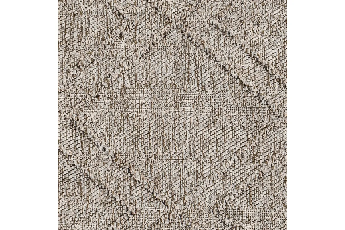 Samson Indoor/Outdoor Machine Woven Rug