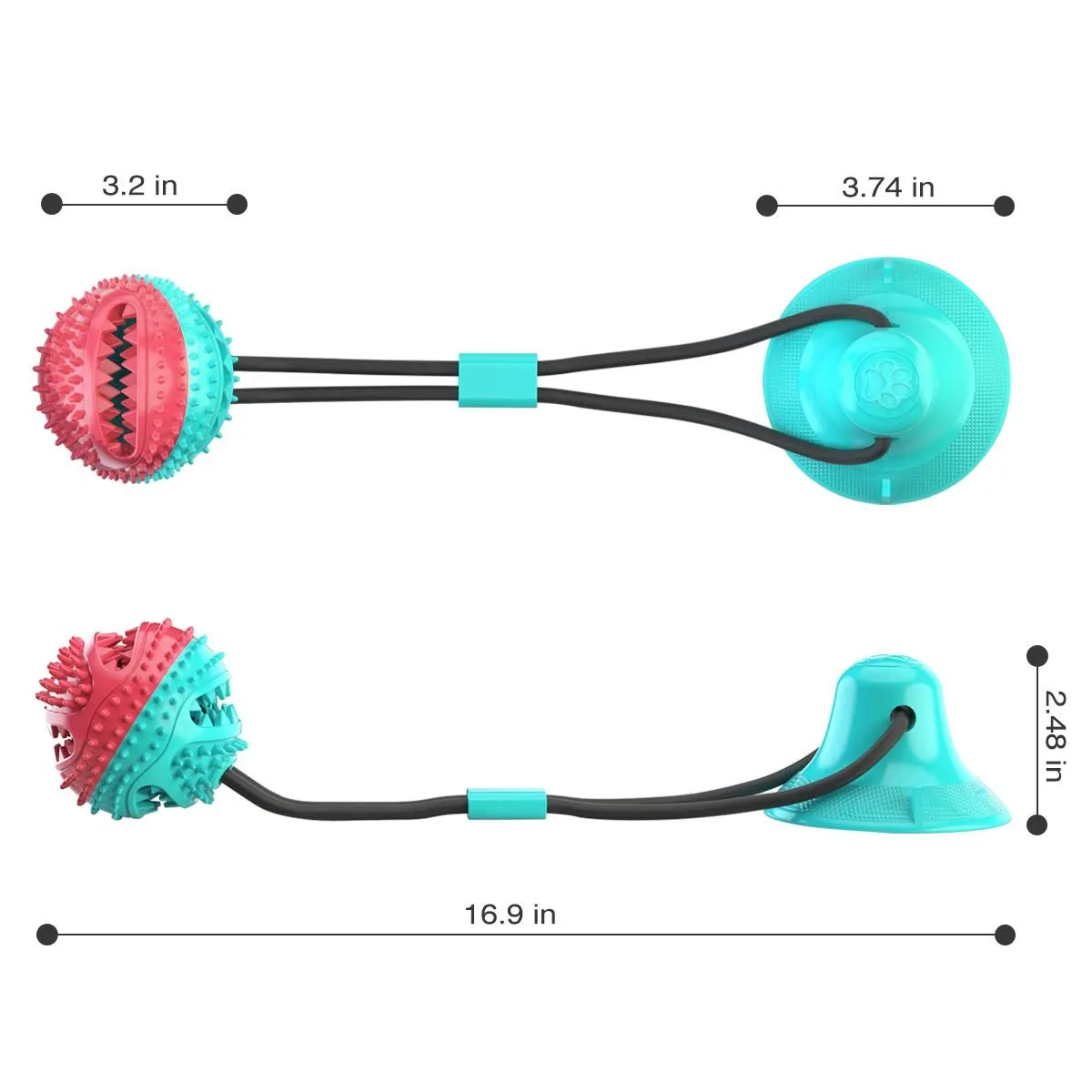 Strong & Healthy: Molar Dog Chew Toys!