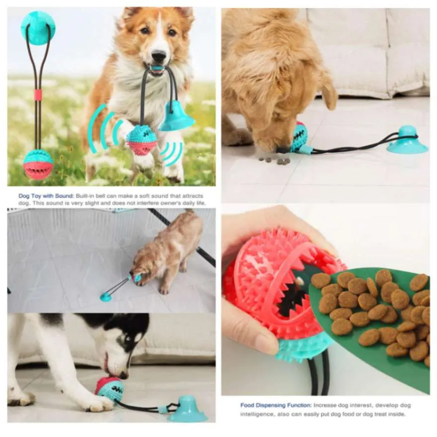 Strong & Healthy: Molar Dog Chew Toys!