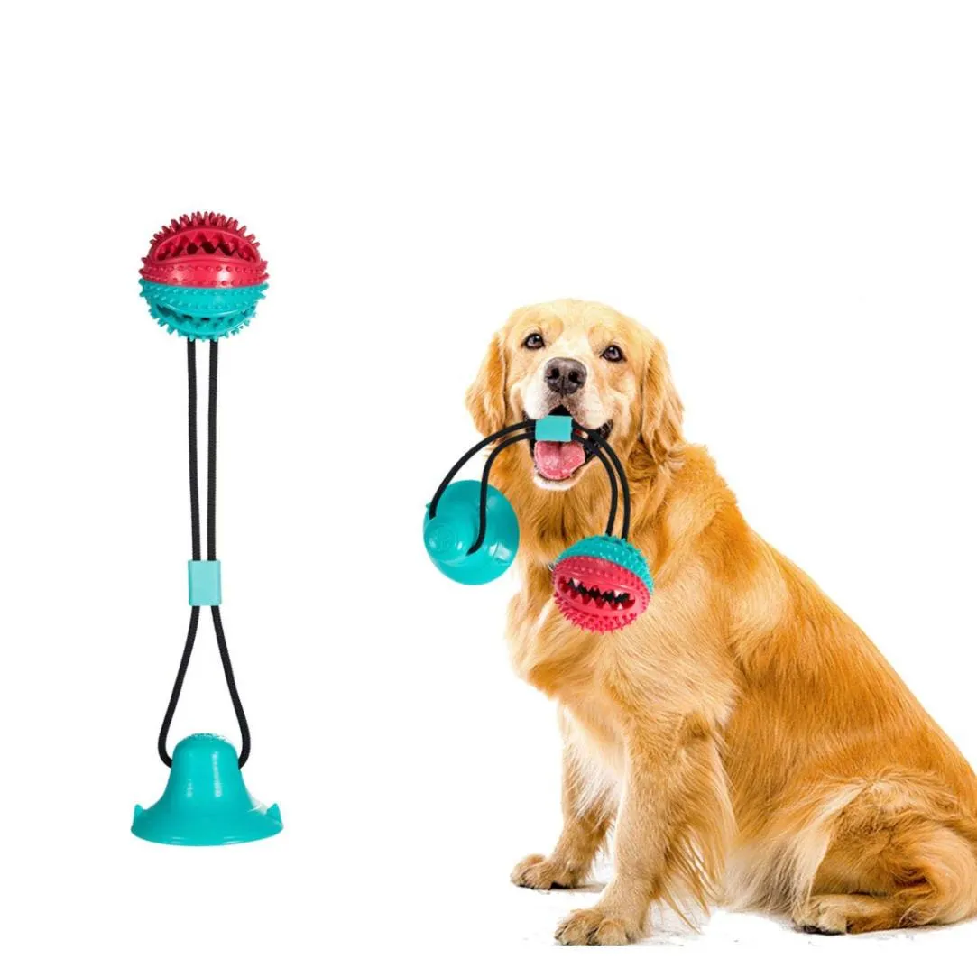 Strong & Healthy: Molar Dog Chew Toys!