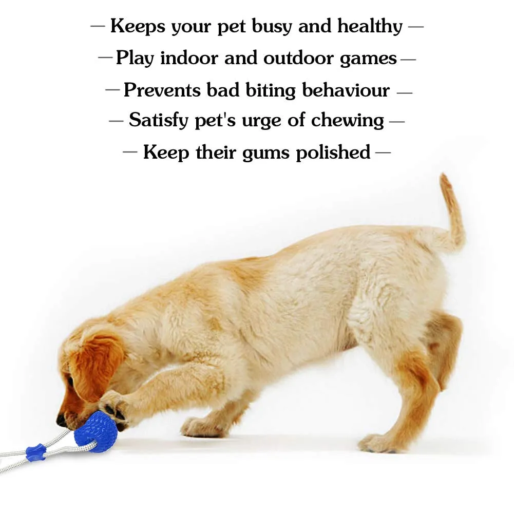 Strong & Healthy: Molar Dog Chew Toys!