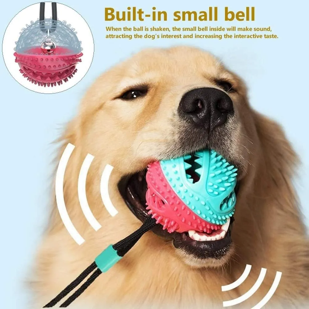 Strong & Healthy: Molar Dog Chew Toys!