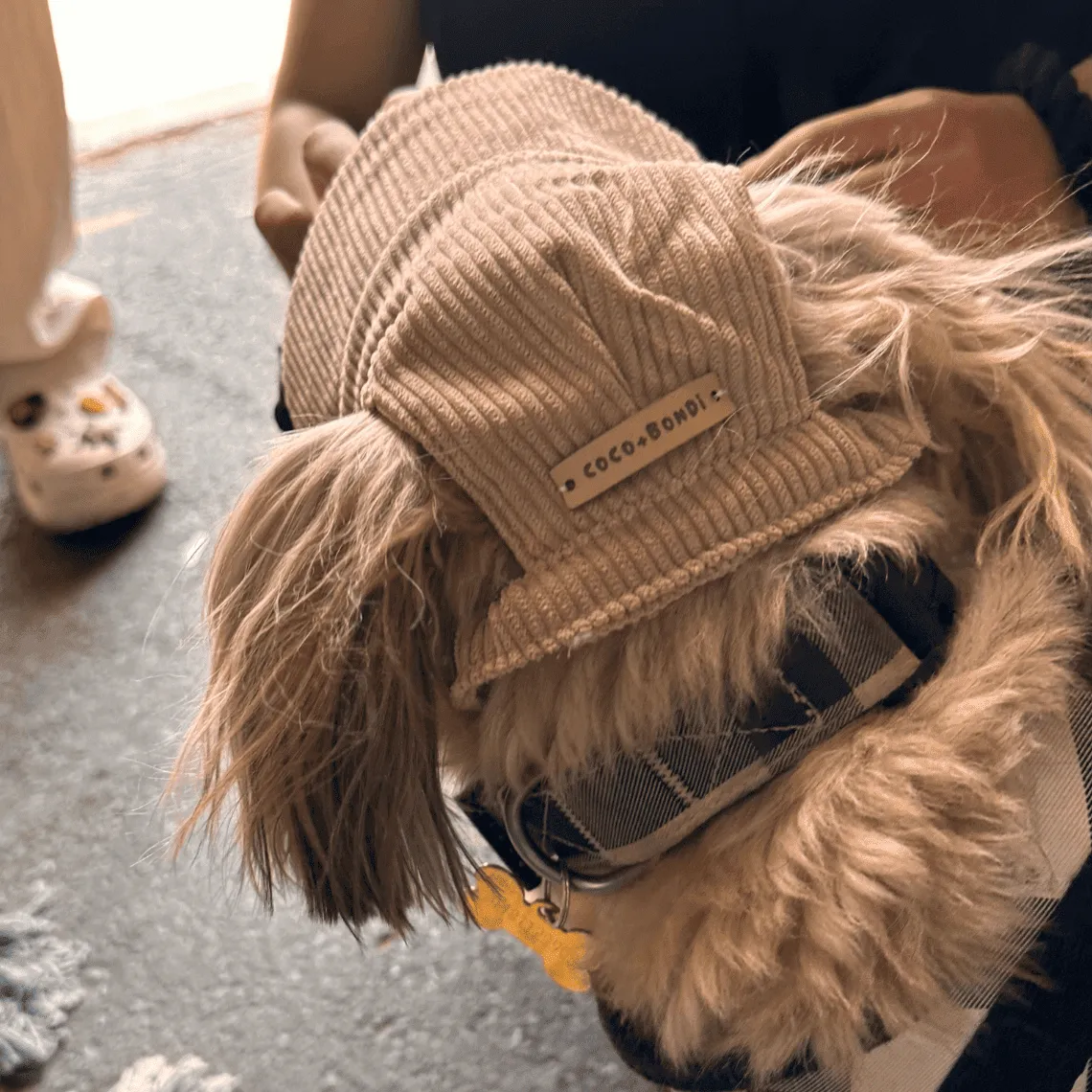 UV-Protective Adjustable Dog Hat in Cream